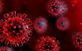 Koronavirus 0