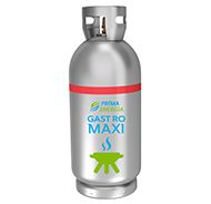 Gastromaxi