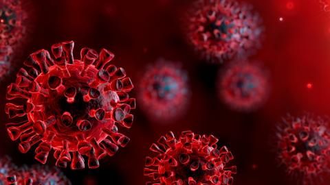 Koronavirus 0